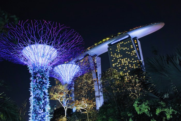 Gardens by the Bay in Singapore at night